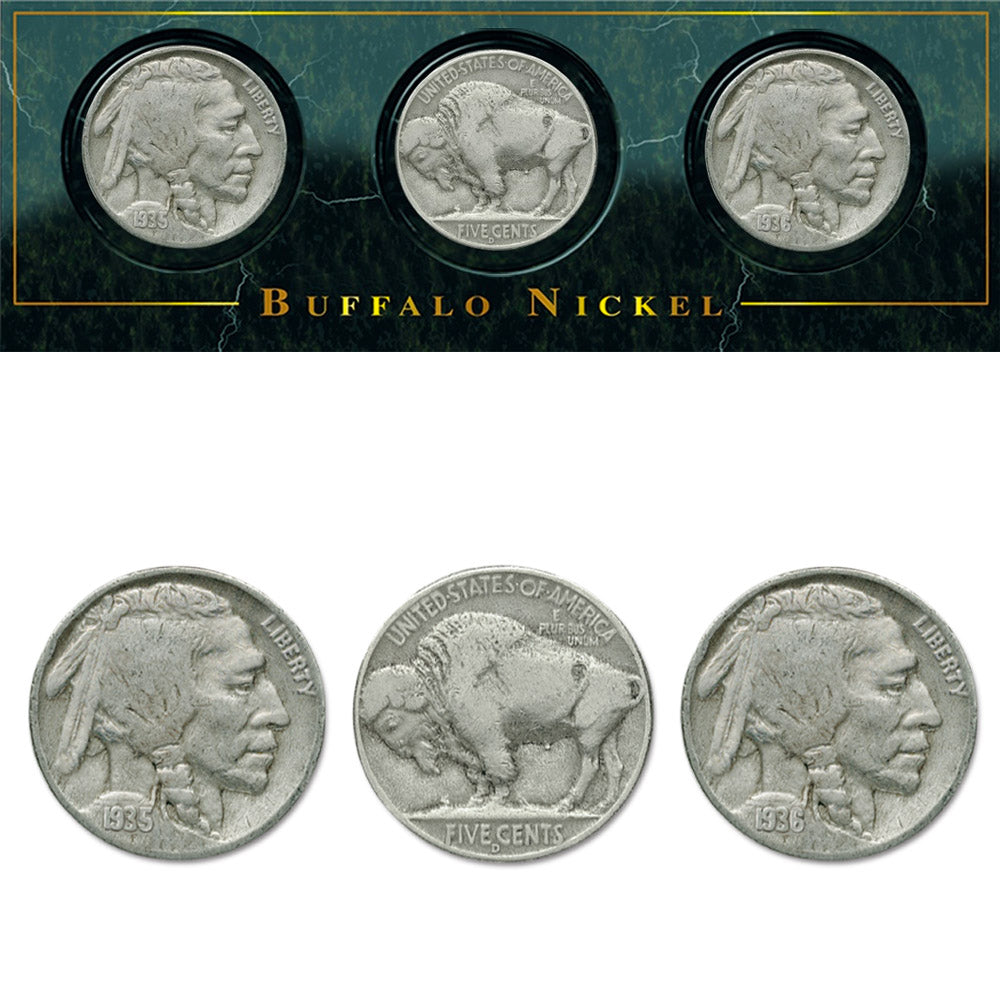 Collectible Mënzen vun Amerika - Buffalo Nickel Set